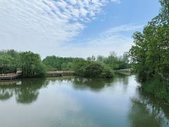 -溱湖国家湿地公园