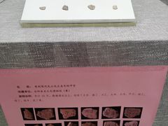 -安阳博物馆
