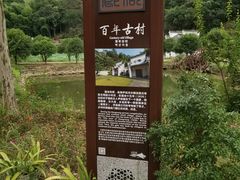 -仙岛湖旅游风景区