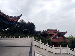 -铁山坪森林公园