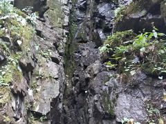 -藏龙百瀑风景区