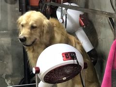 -PETKIT小佩宠物(昭化店)