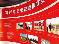 -云间粮仓
