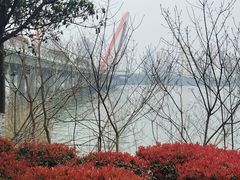 -艾溪湖湿地公园