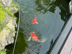 -濮园 · 四合院餐厅