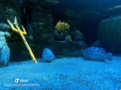 -太平洋海底世界