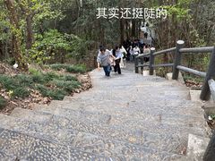 -紫金山山顶公园