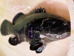 -ONE FULL 古董港式海鲜火锅