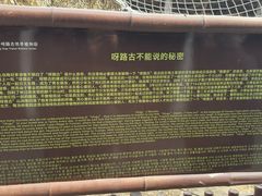 -呀路古热带植物园-恐龙馆