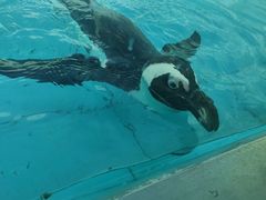 -新疆天山野生动物园