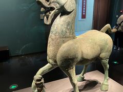 -广西壮族自治区博物馆