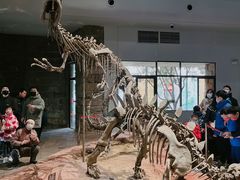 -自贡恐龙博物馆