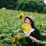 重庆夏天去哪里? || 北碚区向日葵免费拍照