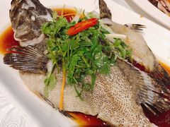 -大树头森林餐厅(番禺广场店)
