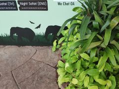 -清迈夜间动物园