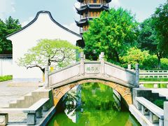 -红梅公园