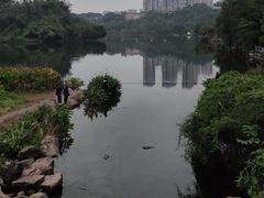 -重庆彩云湖湿地公园