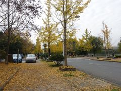 -浙江农林大学(东湖校区)