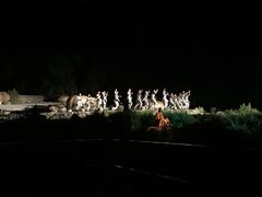 -禅宗少林·音乐大典