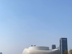 -金沙湖公园