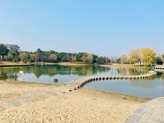 -上海佘山世茂艾美酒店