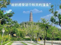 -顺峰山公园