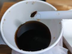 -肯德基(南五店)