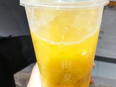 树夏很芒-树夏(建设路店)