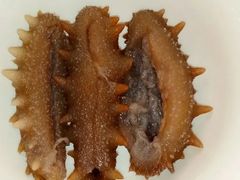 -棒棰岛辽参(长宁旗舰店)