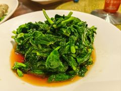 清炒大豆苗-沪上馨和小馆•海派上海菜(陆家浜路店)