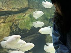 -泉城欧乐堡海洋极地世界
