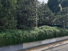 -玲珑塔公园