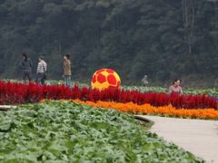 -广州市石门国家森林公园