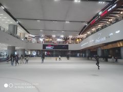 -TheRink大零溜冰场(IFS国金中心店)