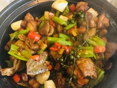 砂锅肥肠鸡-港久茶餐厅(鹭洲里店)