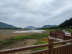 -风云岭森林公园