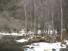 翠竹沟-叠溪松坪沟景区