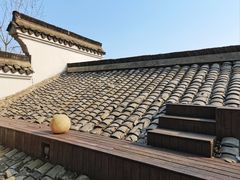 -日出青木