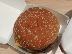-麦当劳(石家庄北国店)