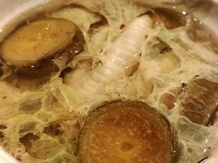 辣木炖鸡爪-新兴·金羊座·粤菜点心(乐峰店)