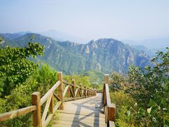-大岭沟猕猴桃谷风景区