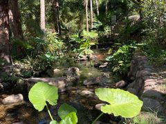 -江门古兜温泉小镇