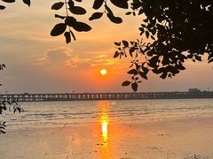 -宝安西湾红树林湿地公园