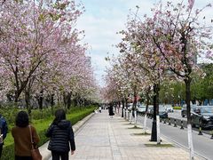 -花都广场