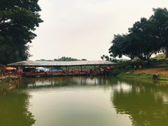 -松山湖梦幻百花洲