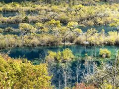 -九寨沟-树正沟