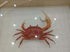 -万达广场(武汉菱角湖店)