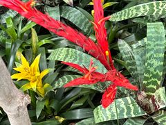 -北京植物园-展览温室