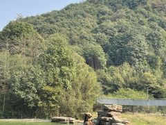 -杭州野生动物世界