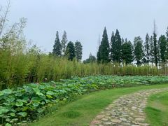 -百翠山居.家飨餐厅